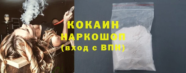 индика Армянск