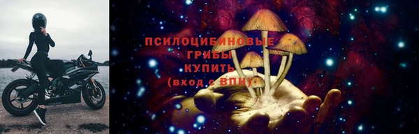 бошки Аркадак
