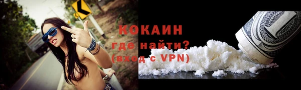 индика Армянск