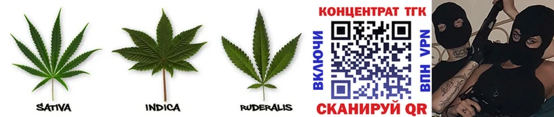 что такое наркотик  Фокино  ТГК THC oil 